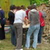 falunap20101