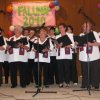 falunap201013