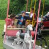 falunap201018