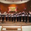 falunap201028