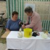 falunap201029