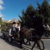 Szüreti képek 2017.