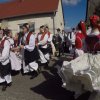 Szüreti képek 2017.