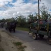 Szüreti képek 2017.